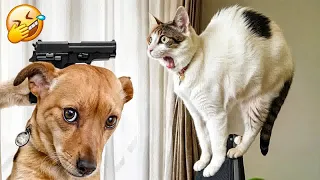Try Not To Laugh Challenge😁Funny and Cute CAT Videos Compilation 2024😪🐶Part 26