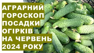 Аграрний гороскоп повторних посівів насіння огірків, кавунів, динь, кабачків в червні 2024 року