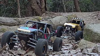 Capo CD 1582X Queen & Ace1 - forest rock crawling