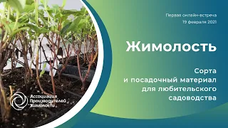 Онлайн-встреча "Сорта и посадочный материал жимолости для любительского садоводства"