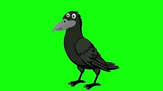 flying crow green screen। crow green screen no copyright। crow flying green screen।