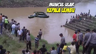 Misteri Ular Berkepala Lembu Yang Kerap Minta Tumbal Di Sungai Bekasi.!!