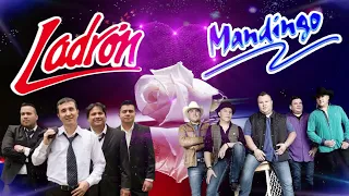 MEJOR PELEA🎶 GRUPO LADRÓN FT MANDINGO ÉXITOS INOLVIDABLES💫