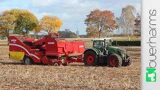 Kartoffel roden mit Fendt Traktoren und Grimme SE 150-60