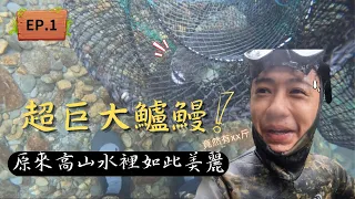 【4K】 巨大鱸鰻上岸！高山的景色如此美麗，水底生態更是美的無與倫比。Anguilla marmorata　#台灣 #高山#釣魚 #溪魚 #潛水#朔溪#鱸鰻#苦花#香魚#空拍#野營#4k畫質#eel