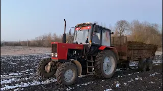 🇺🇦 МТЗ vs 6 тон гною⁉️МТЗ ледве витяг⁉️турбіна дує, а МТЗ…⁉️вивіз гною в 2023.