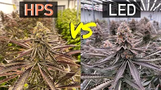 HPS vs LED which is BETTER?!