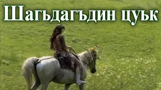 Руслан Пирвердиев: Шагьдагъдин цуьк. Сл.и муз.С.Керимовой.