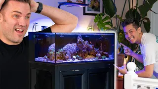 FINALLY The Update You Wanted! His First Saltwater Tank