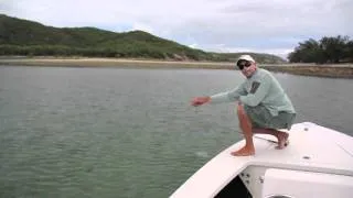 Saltwater flyfishing tips - landing a fish without breaking the rod