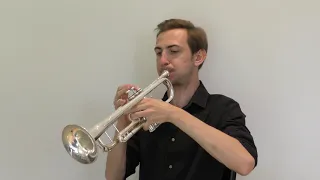 Theme from 'Star Trek' performed by Trumpet Brain