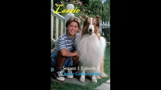 Lassie 1997 TV Series | Season 1 Episode 2 | Lassie Comes Home