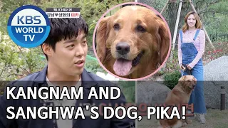 Kangnam and Sanghwa's dog, Pika! [Dogs are incredible/ENG/2020.07.01]