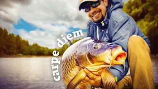 carpe diem: is this the answer to defending against wild fish invasions? | Catch