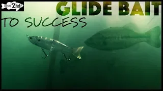 The Basics of Glide Bait Fishing Bass