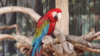 Visit at the Potawatomi Zoo