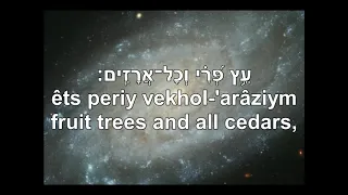 Tehilim קמ''ח Psalm 148 English+Hebrew Lyrics Subtitles תהלים קמ''ח תרגום בעברית ואנגלית