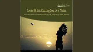 The Secret Life of Trees (Native American Flute With Soothing Forest Ambience)