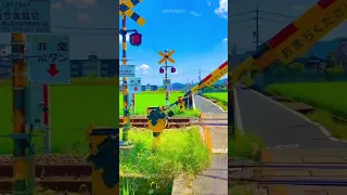 Anime vibes  in reality #crossing #japan #shorts #railway #railcrossing #thisisjapan #anime #train