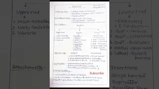 Radius anatomy| one page anatomy|#easyanatomy |#anatomy