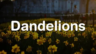 Ruth B - Dandelions (Lyrics)