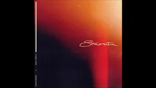 Shawn Mendes, Camila Cabello - Señorita [No Copyright]