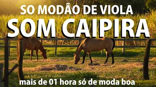 O Som Da Roça - MODÃO DE VIOLA 23/24 - Alegra A Vida Do Caipira - Viola Caipira/Sertanejo Raiz