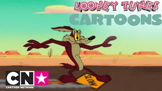 Titti contro Silvestro; Willy il Coyote contro Beep Beep! | Looney Tunes Cartoons | Cartoon Network