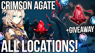 GENSHIN IMPACT ALL Crimson Agate Locations DRAGONSPINE 1.2