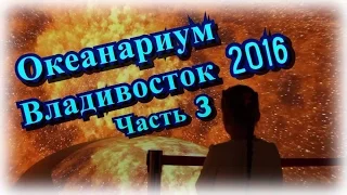 Океанариум Владивосток Часть 3 Остров Русский 2016 самый большой мире видео открытие для детей #3