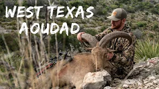 TEXAS AOUDAD BOW HUNT! S3E10