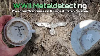 WWII Metaldetecting - Zwischen Brennnesseln & umgestürzten Bäumen auf schatzsuche