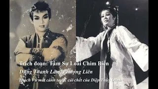 Trích đoạn Thạch Vũ & Diệp Thúy Oanh - Dũng Thanh Lâm, Phượng Liên (Tâm Sự Loài Chim Biển)