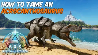 How to Tame an Acrocanthosaurus ARK Survival Ascended #ark  #arksurvivalascended #acrocanthosaurus