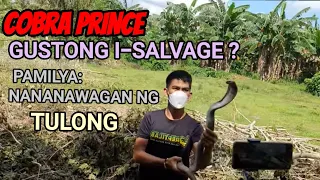 COBRA PRINCE GUSTONG I-SALVAGE? PAMILYA; NANANAWAGAN NG TULONG