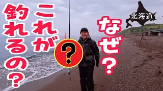ヒラメ釣りで、まさかのレアものが⁉｜北海道のサーフ釣り