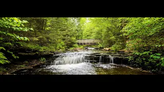 Rolê Mindfulness in Marshall Creek