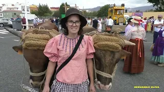 ROMERIA SAN JOSE OBRERO CRUCE DE ARINAGA AGUIMES 24-04-2022 SERVANDO OLIVA