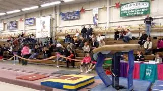 Vault #1- Parkettes 1-26-13 yurchenko full