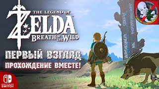 Призрак и Nintendo Switch - первый взгляд The Legend of Zelda: Breath of the Wild