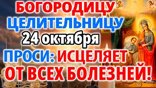 26 февраля ПРОСИ СЕГОДНЯ ИСЦЕЛЯЕТ ОТ ВСЕХ БОЛЕЗНЕЙ! Молитва Богородице Целительница. Православие