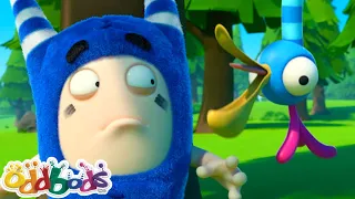 No Escape From The Feisty Big Bird | New Funny Cartoon | ODDBODS