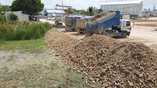 New Project! Soil Filling Uploading Using Operator Dump Truck and  Bulldozer Working Pushing Soil