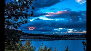 Ночное озеро в лесу,звуки сверчков и птиц,сон/Night Lake in the Forest,Sounds of Crickets and Birds