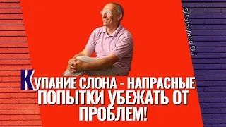 "Купание слона" - это напрасные попытки убежать от проблемы! Торсунов лекции