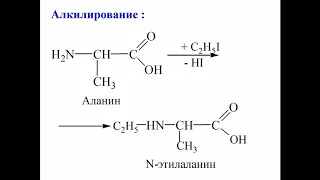 Лекция: Химия - Аминокислоты