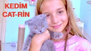 Bir Kedim Oldu. Cat-Rin İçin Odamda Yer Açıyorum. Ecrin Su Çoban