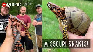 Finding Snakes in Missouri! Mud Snake, Milk Snake, Rattlesnakes, and Lots More!