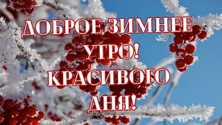 Зимнее доброе утро! Отличного дня!💕