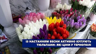 Із настанням весни активно купують тюльпани: які ціни у Тернополі